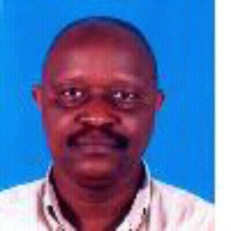 Nicholaus Mbwambo, Freelance consultant at Self