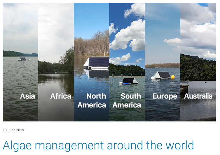 Algae management around the world - LG Sonic