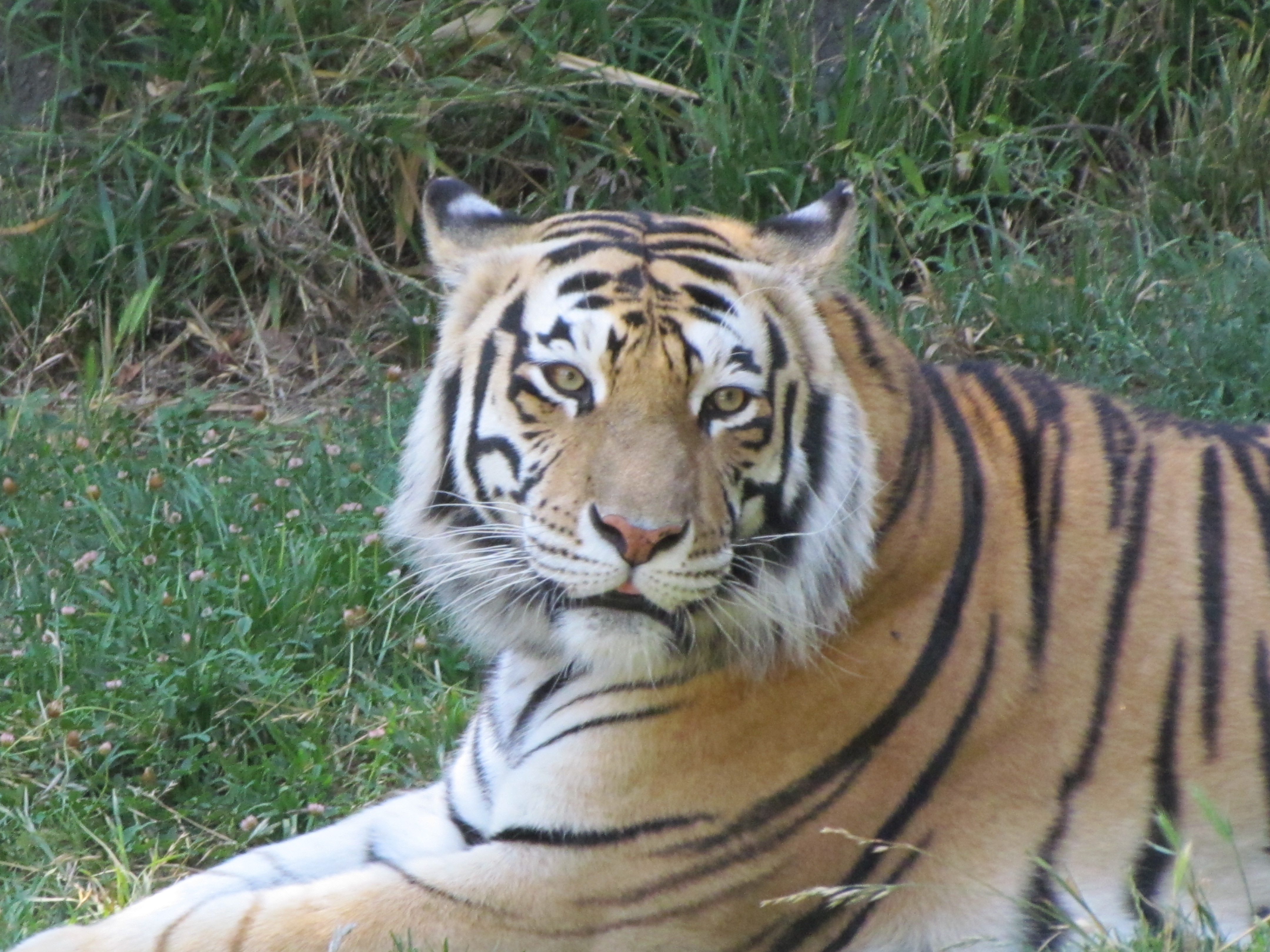 LeRoy McGrue, ETwater Systems Inc. - Product Planning & Technical Support 