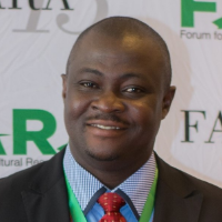 Wole Fatunbi, Professor