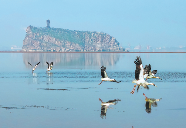 Flood of opportunities in ecological preservation