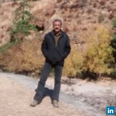 Pankaj Punetha, Freelance Consultant 