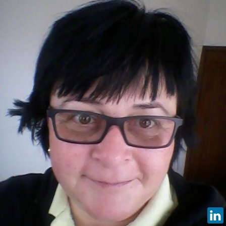 Gabriela Mogos, Foreign Expert la Hunan University of Arts and Science