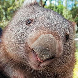 Mark Smith, aquadeli - Owner