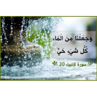 J MQ, Instructor at University of Duhok