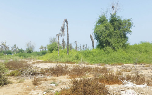 DISTEGO project