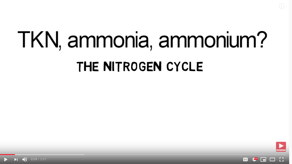 What is TKN, ammonia, ammonium - nitrogen cycle
