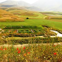 FRB CW for treatment of WW of Castelluccio di Norcia