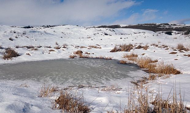 New Technique Tracks ‘Heartbeat’ of Hundreds of Wetlands