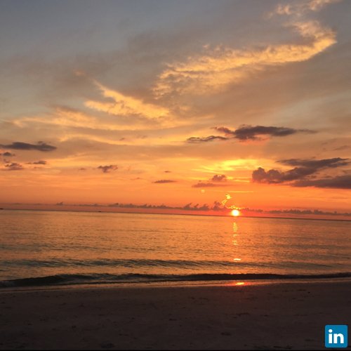 Michael Cook, PSM, Professional Surveyor and Mapper