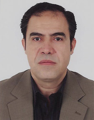 Walid Saleh, United Nations University - Researcher