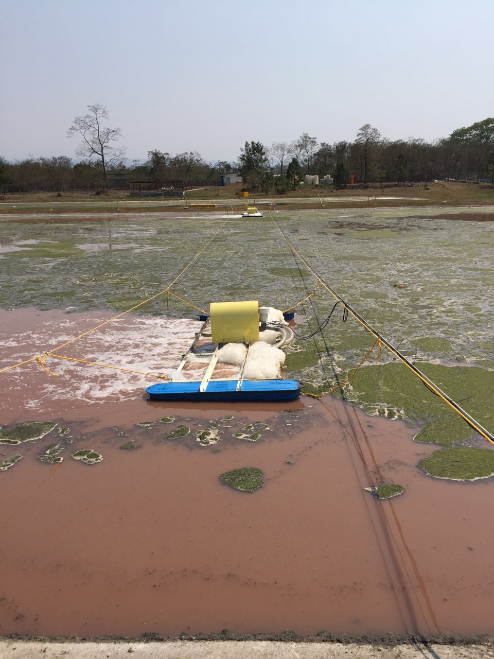 WWTP - CADECA - CHICKEN PROCESSING FACTORY