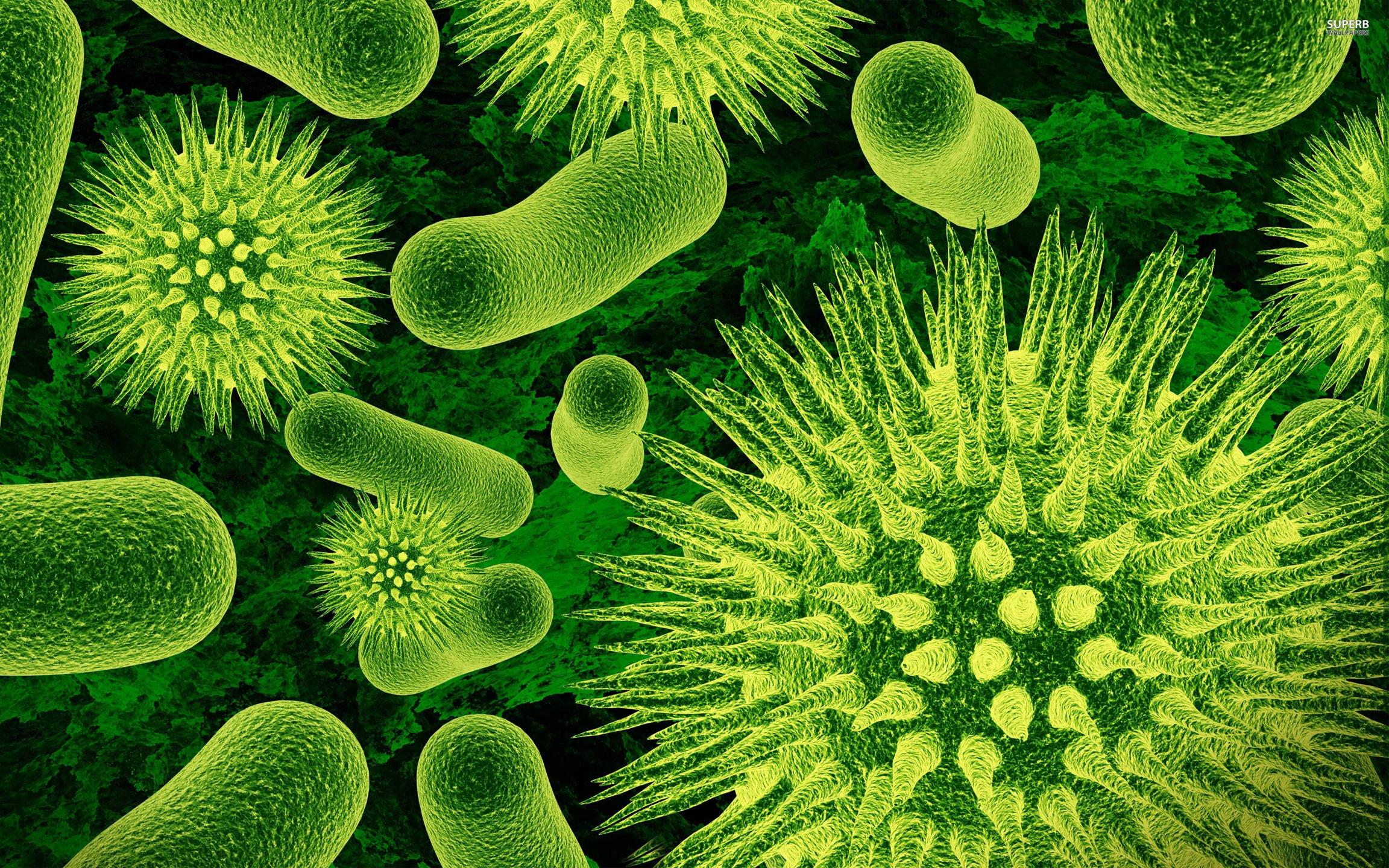 Study looks at bacteria to remove metals from mine-impacted water | Penn State University