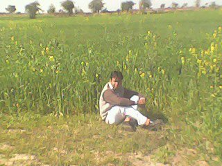 LIVE HEALTHY LIVE HAPPY