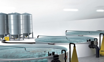 Real-time Information Tool for Aquaculture Farmers