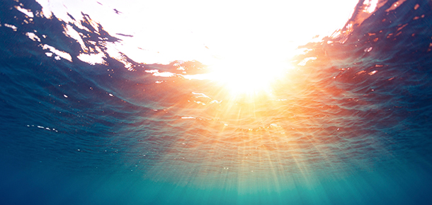 Harnessing the Energy Generated  When Freshwater Meets Saltwater
