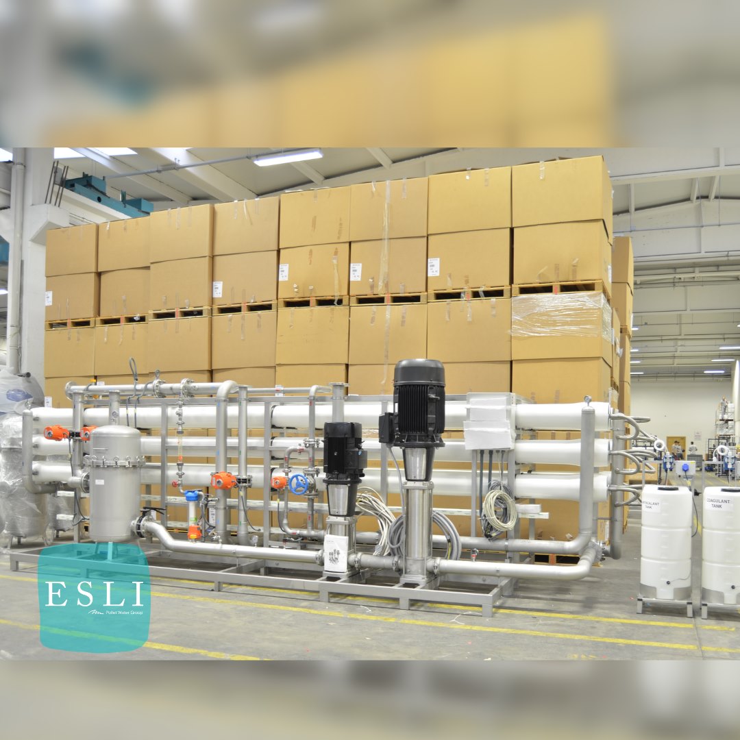 Esli Pollet Water Group