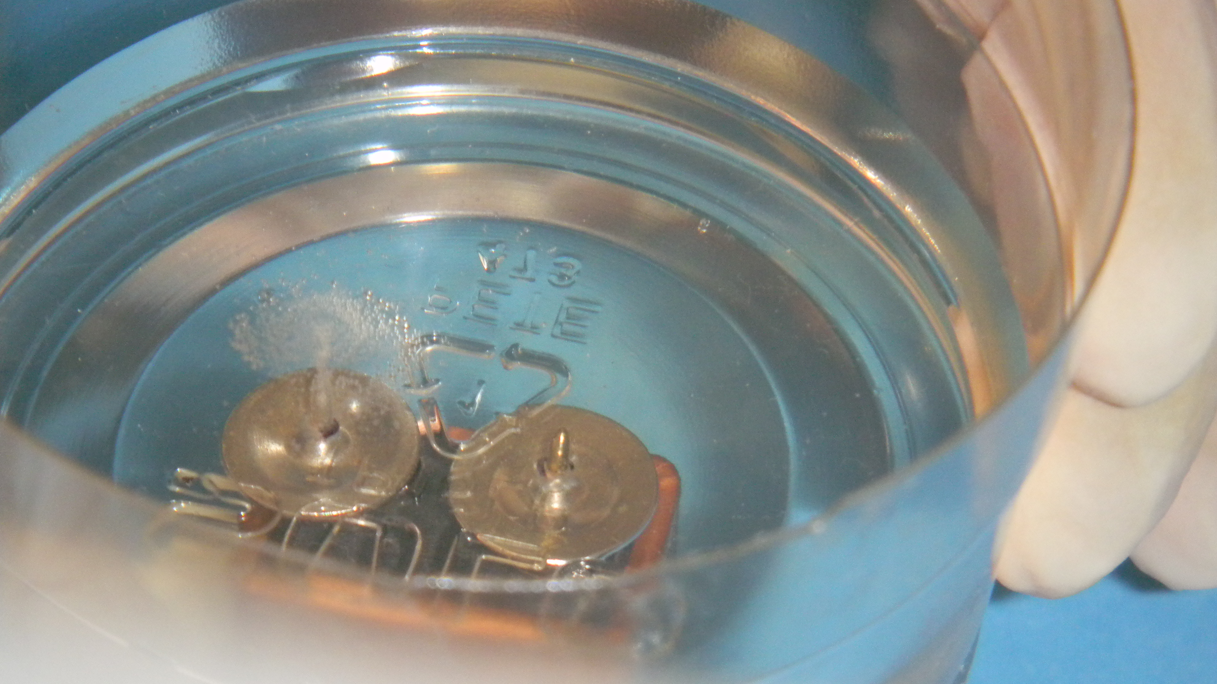 Electrolyzed Water in Food Industry