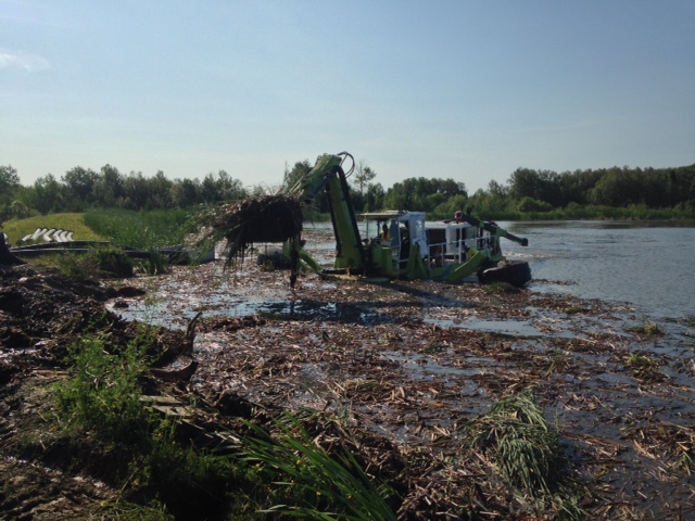 Environmental dredging interventions (conventional)