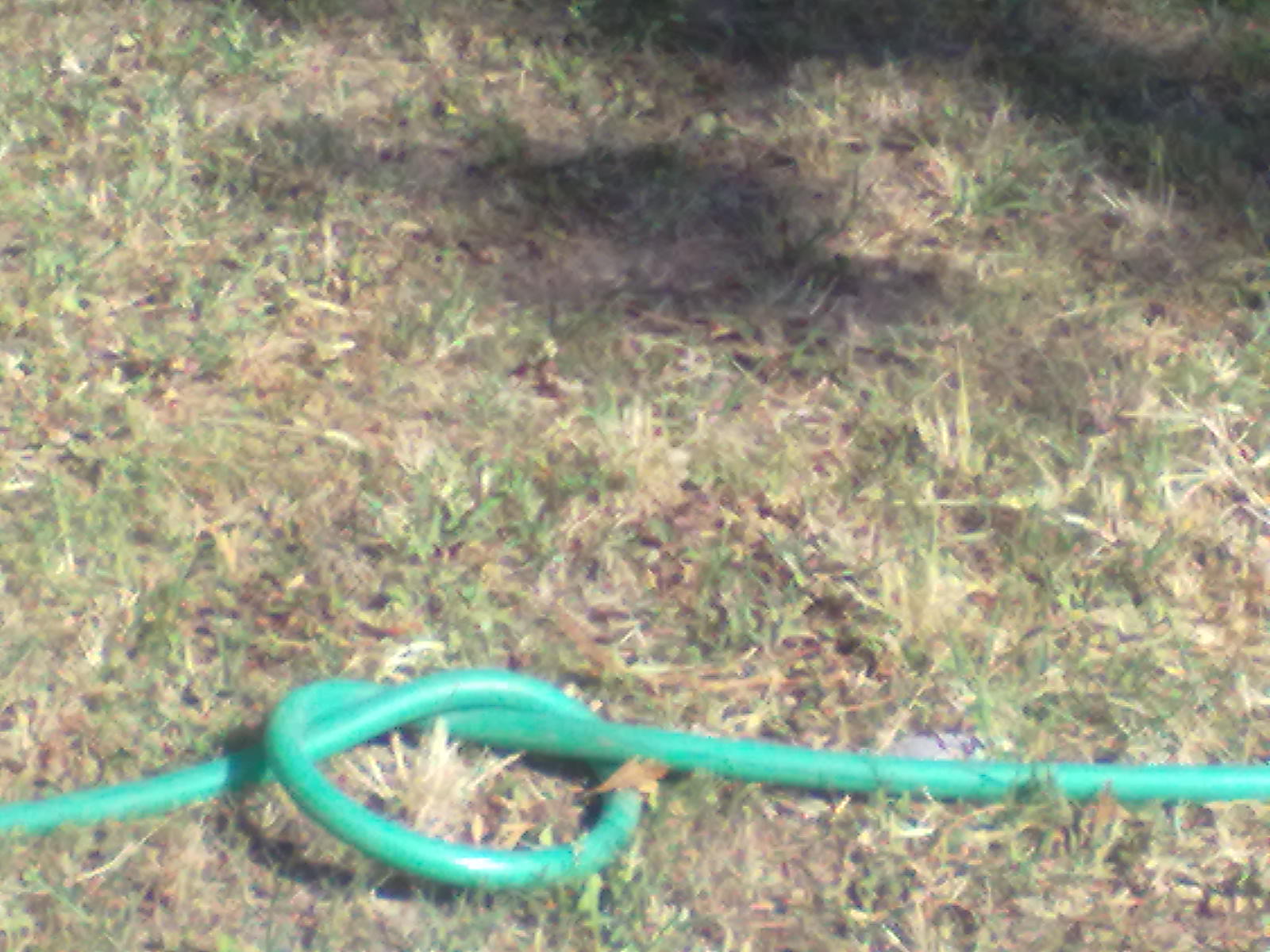 Francesca Ostuzzi, Politecnico di Milano - PhD Student