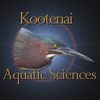 David Murray, Kootenai Aquatic Sciences - Principal/Owner