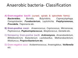 Obligate aerobes need oxygen ...