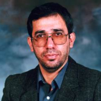 Davood Nikkami, Professor