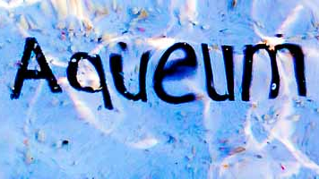 Aqueum