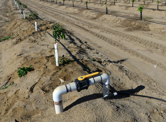 Groundwater Overuse Cuts San Joaquin Valley’s Water Storage Ability
