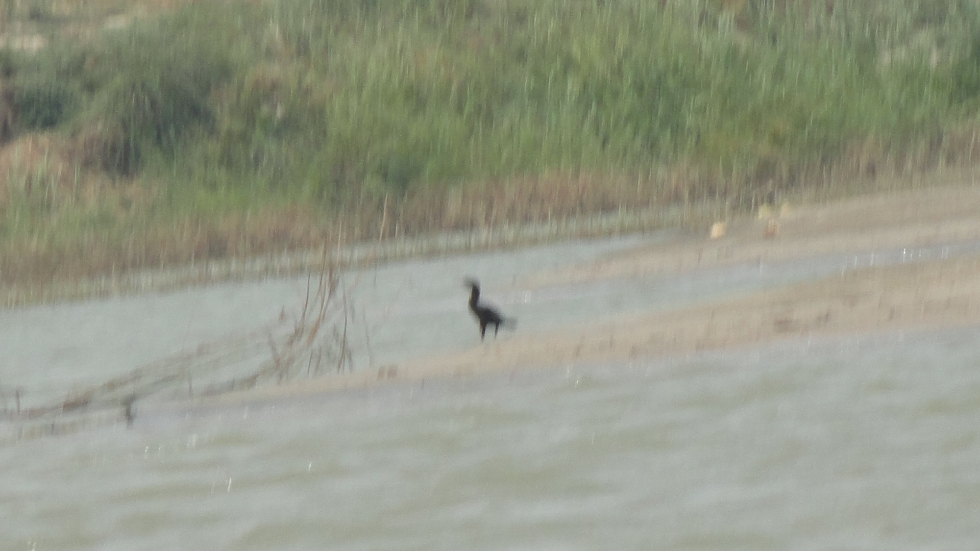 Josiah Bowles, Myanmar Development Research Institute - Researcher