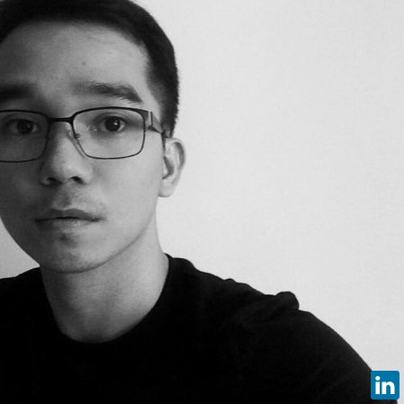 King Francis Ocampo, Development Professional