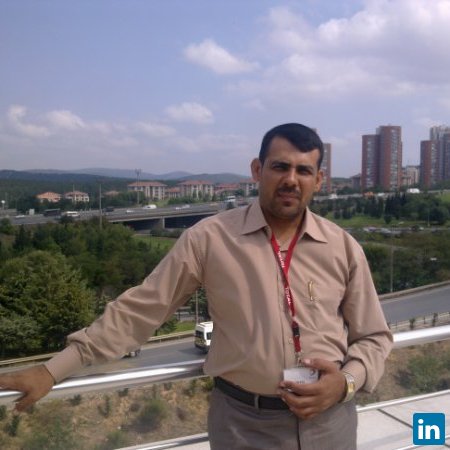 Alaa Atiaa, Professsor