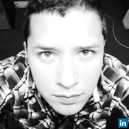 Victor M. R. del Castillo, Auxiliar de presupuestos en BOTERO IBAÑEZ y CÍA LTDA