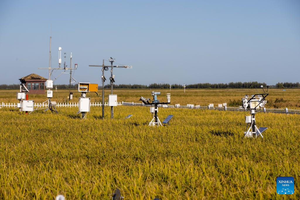 Cutting-edge information technologies adopted for agriculture in NE China's HeilongjiangSource: XinhuaEditor: huaxia2022-09-04 21:34:01Photo tak...