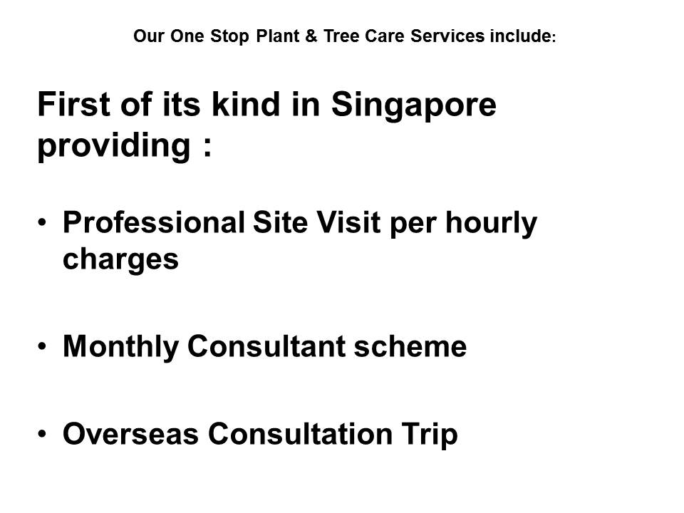 My Planthealth Clinic services