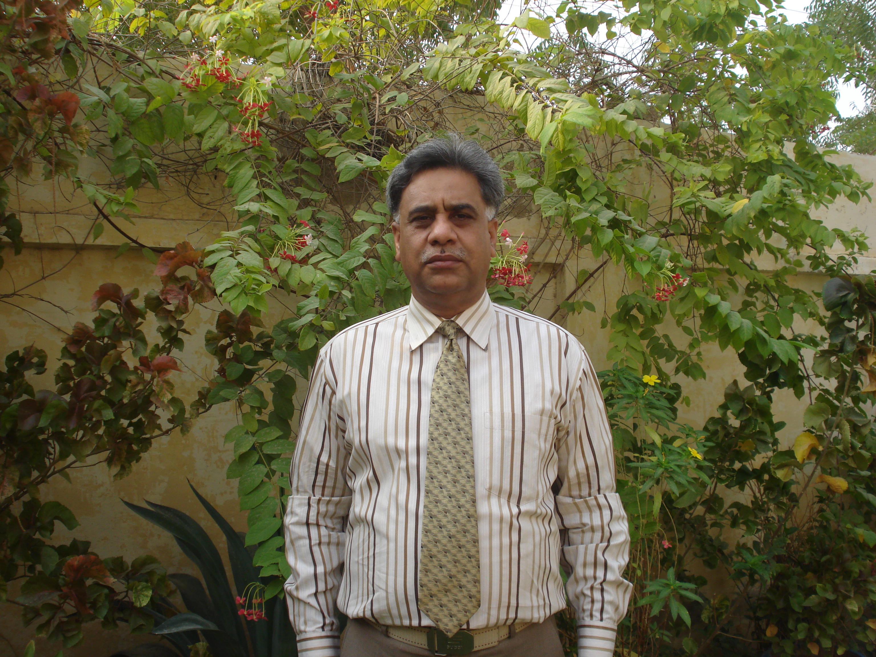 Saeed Bablani, Centre for Geology, University of Sindh - Assistant Professor