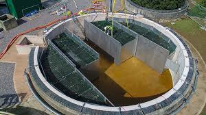 Wessex Water achieves 75% saving with enhanced process