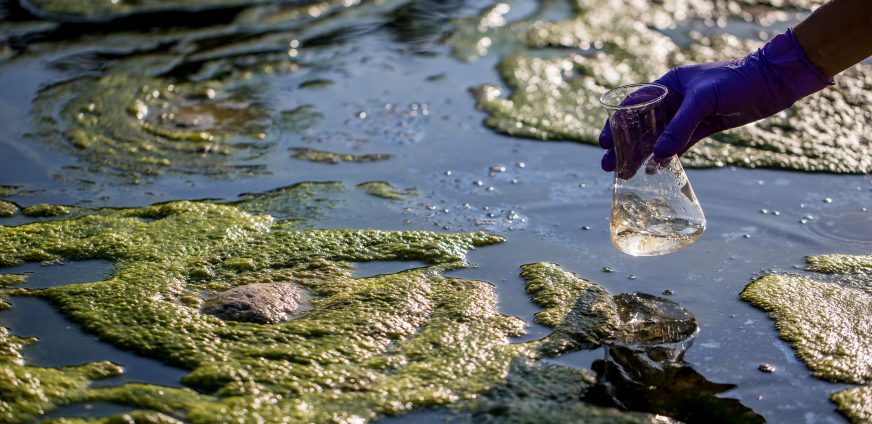 SIWI Condemns Escalating Violence against Water Activists