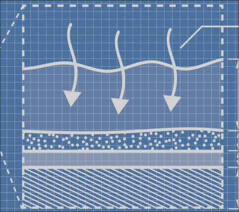 Nature’s Water Filter - The Berkeley Science Review