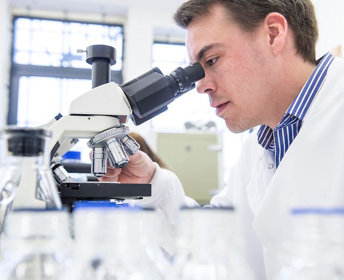 Lab work