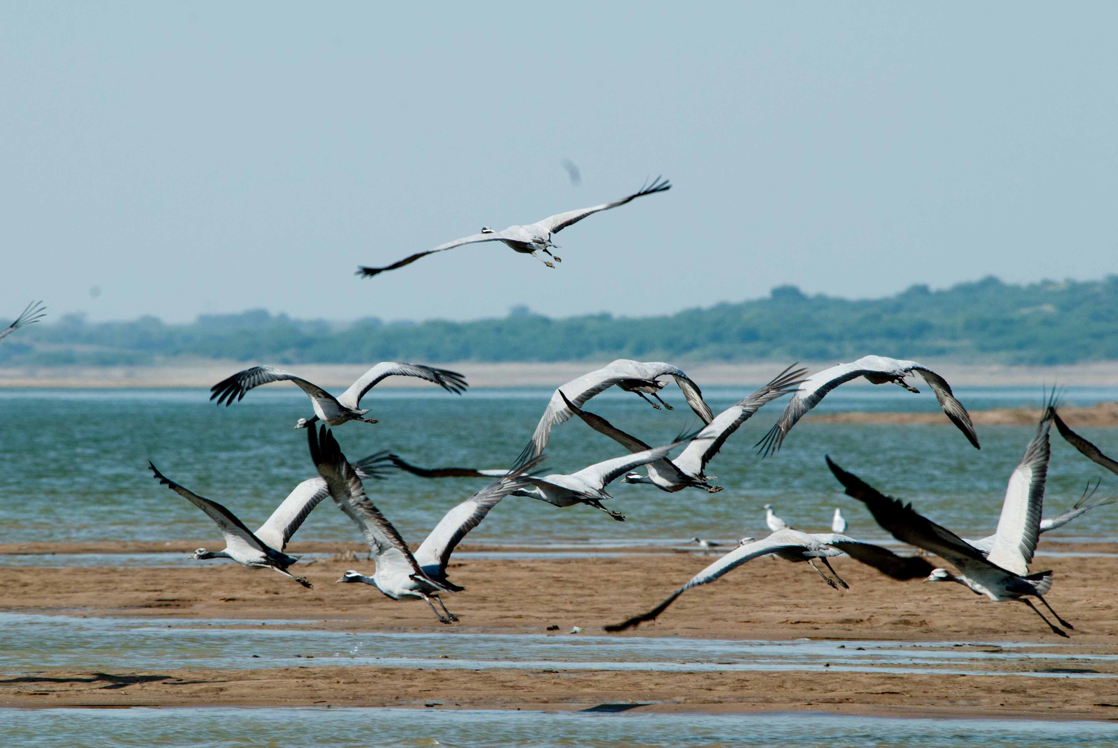 A view of Ganga