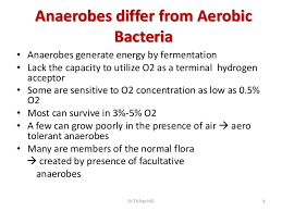 Obligate aerobes need oxygen ...