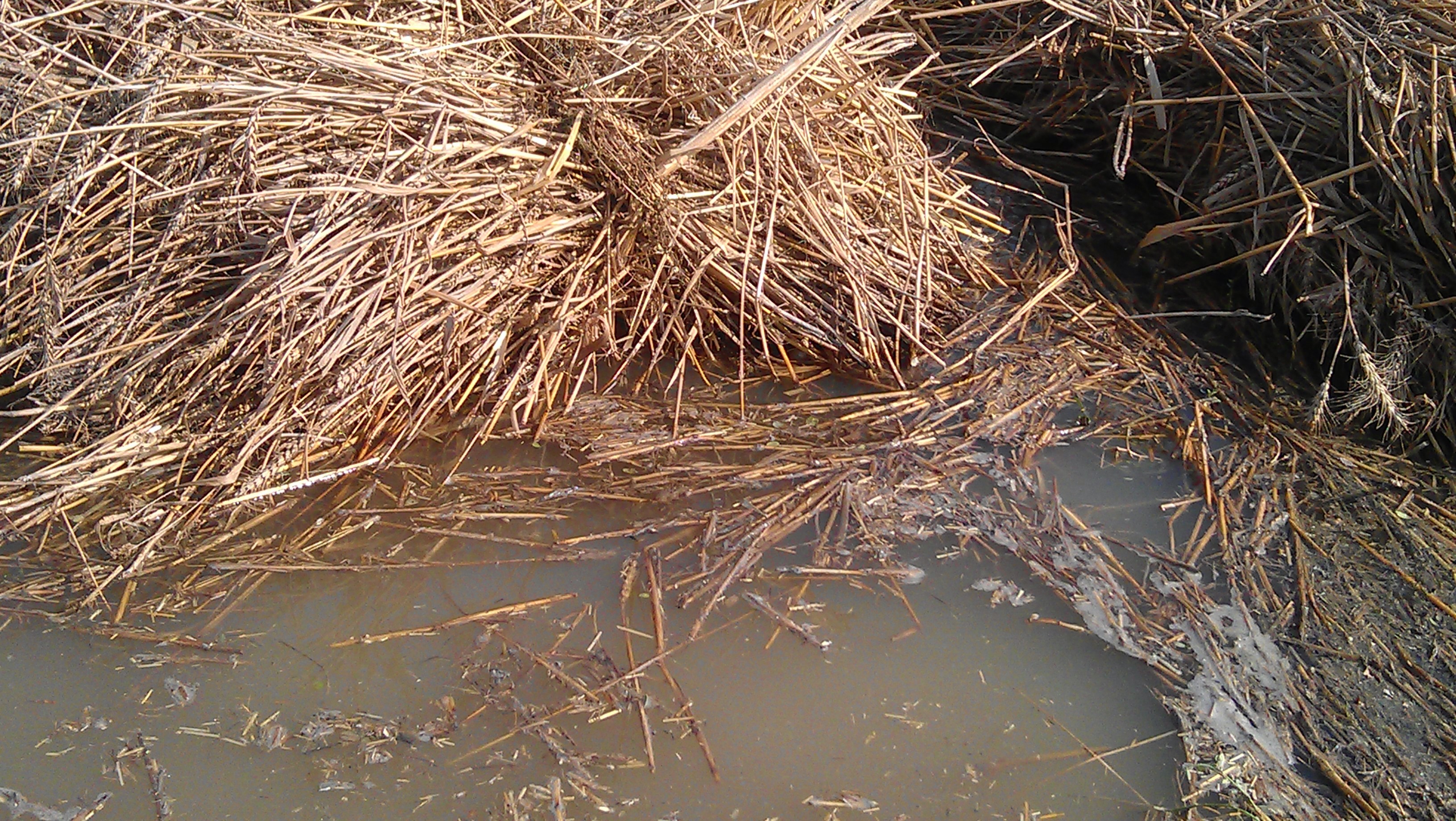 Water Pollution sources