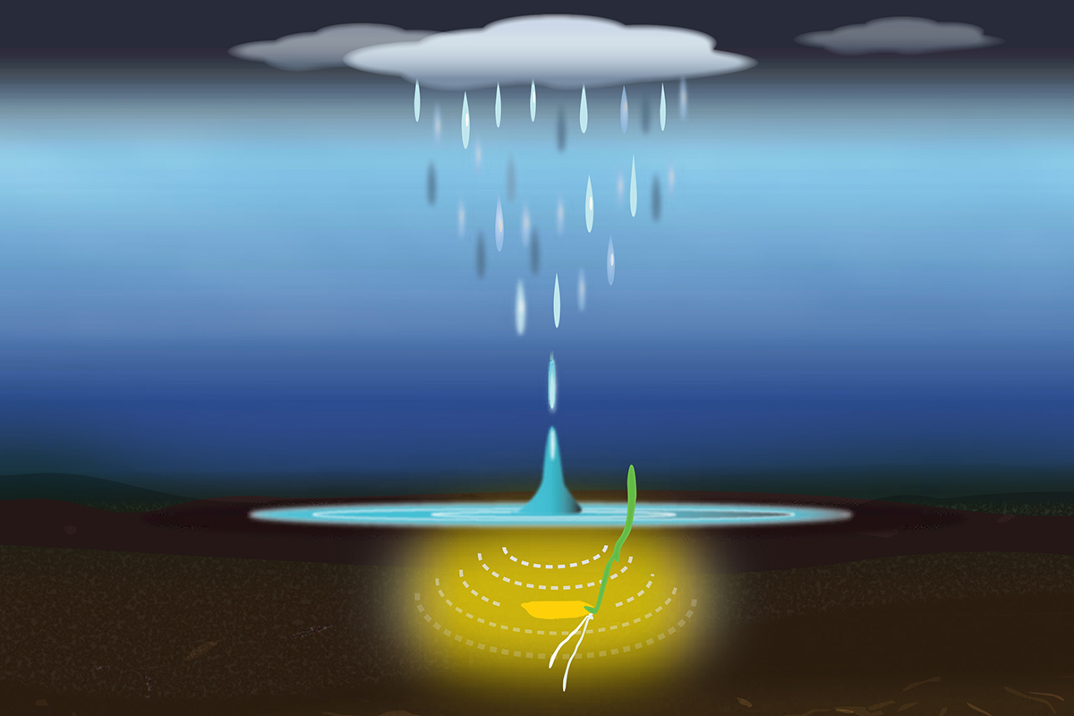This Week in Water for April 26, 2026