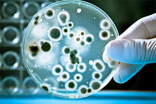 New Device Improves Measurement of Water Pollution