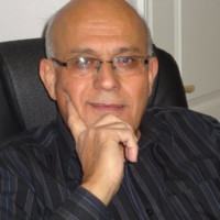 Ali Safarzadeh Amiri, Consultant