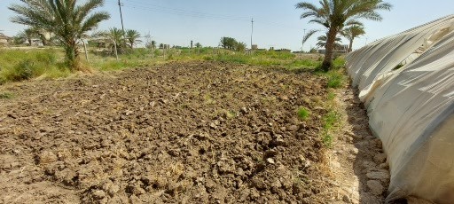 Iraq2022