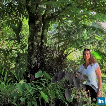 Julie Gaertner, Environmental Scientist/Remote Sensing & GIS Consultant