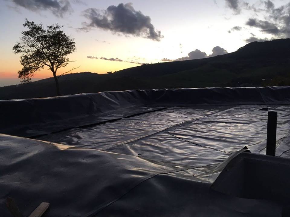 Aerated CWs for swine wastewater - Roverè Veronese (VR - Italy)