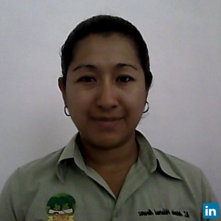 Antonia Villarreal, Profesor-investigador (Recursos Forestales Nativos y manejo Forestal de Bajo Impacto)